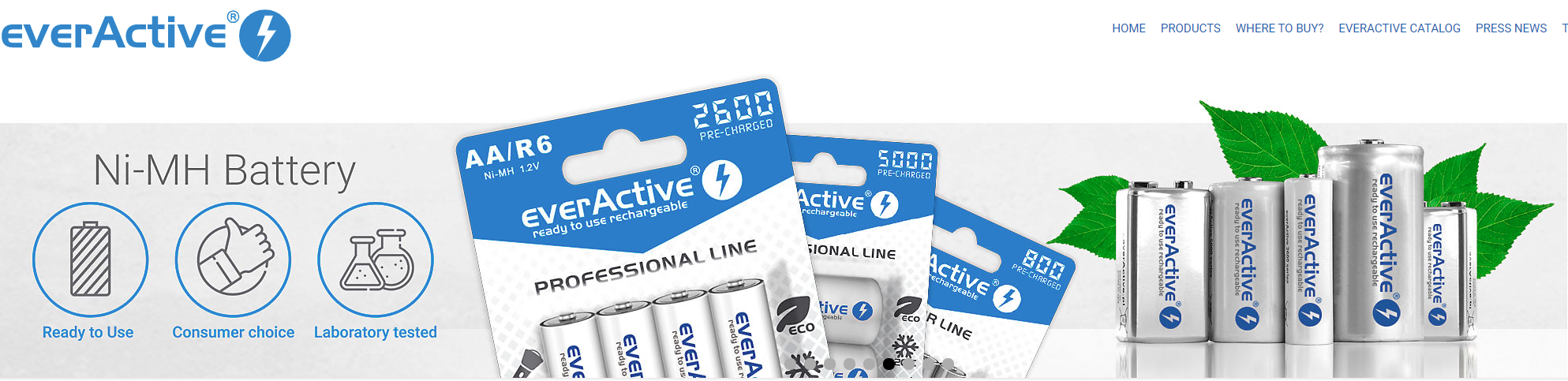 everActiv yfirlitsmynd
