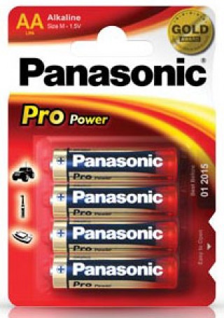 Panasonic ProPower