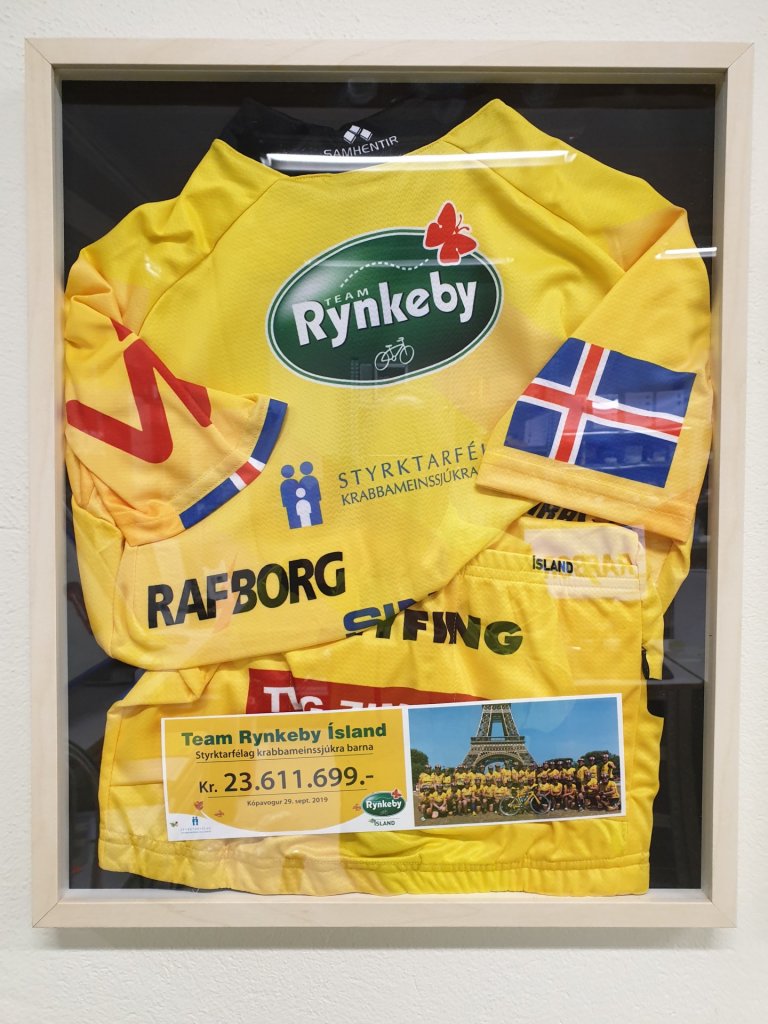 Team Rynkeby
